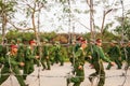 Young Vietnamese soldier behind the barbed wire, during site visit program of Vietnamese military academies at the bunker